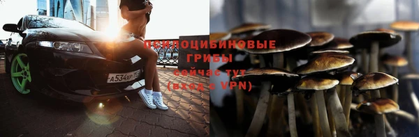 шишки Нязепетровск