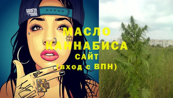 шишки Нязепетровск