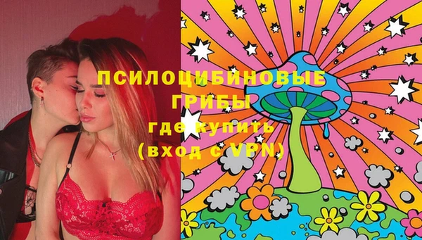 меф Няндома