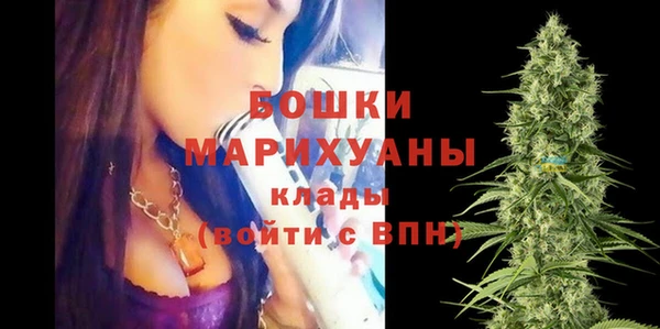 меф Няндома